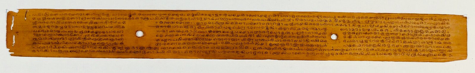 An illustrative palm-leaf manuscript containing Sanskrit philosophy in Malayalam script. This leaf is not a horoscope.